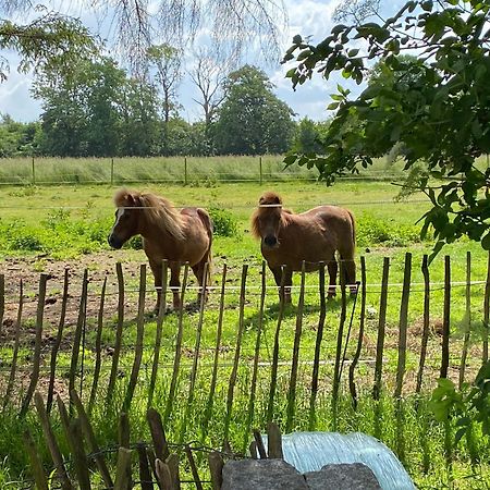 Bed & Breakfast 5 Min From E47 - Dogs Welcome - Cosy Farm Bnb Tureby Eksteriør billede
