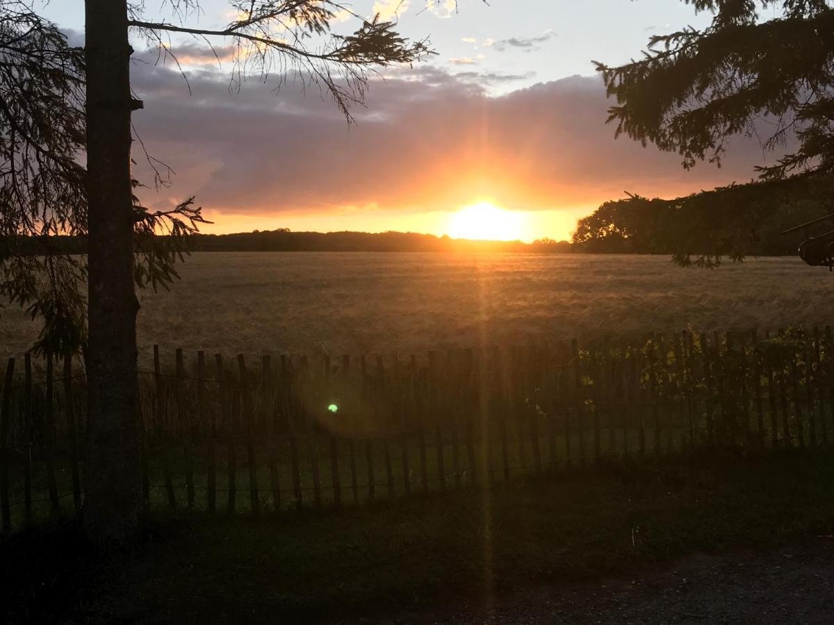 Bed & Breakfast 5 Min From E47 - Dogs Welcome - Cosy Farm Bnb Tureby Eksteriør billede