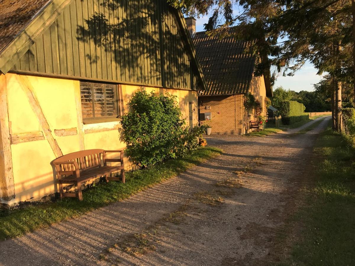 Bed & Breakfast 5 Min From E47 - Dogs Welcome - Cosy Farm Bnb Tureby Eksteriør billede