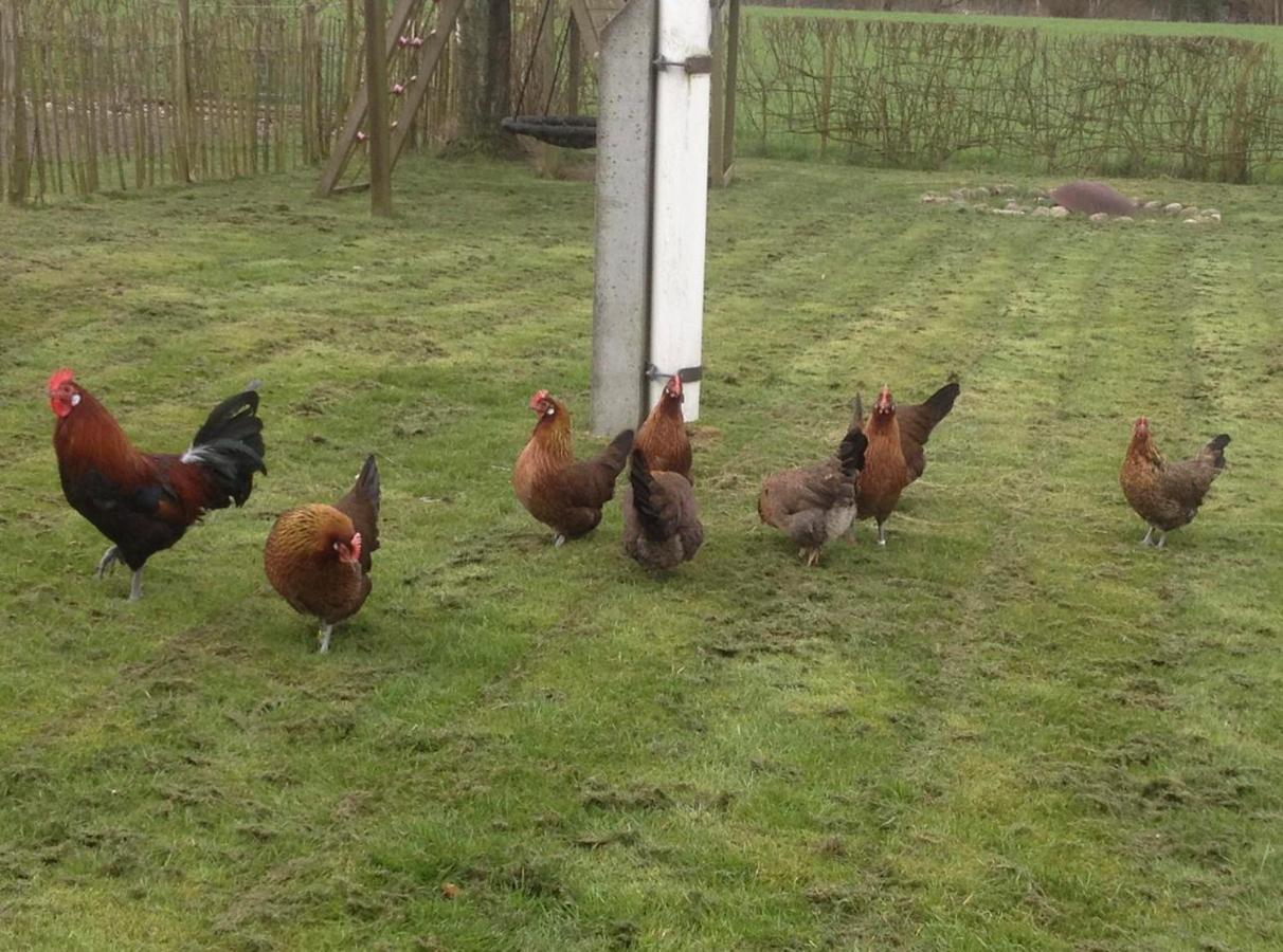 Bed & Breakfast 5 Min From E47 - Dogs Welcome - Cosy Farm Bnb Tureby Eksteriør billede