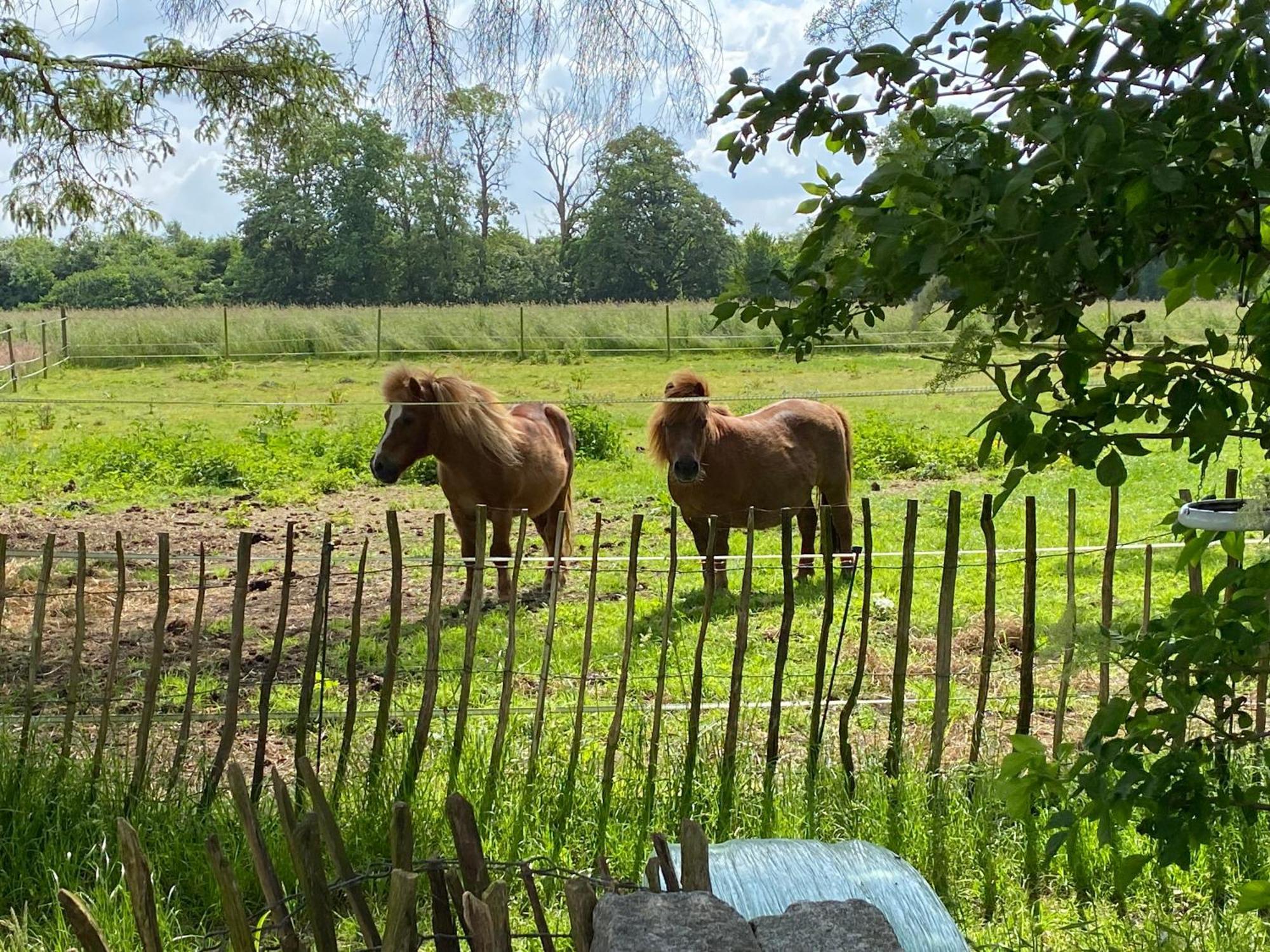 Bed & Breakfast 5 Min From E47 - Dogs Welcome - Cosy Farm Bnb Tureby Eksteriør billede