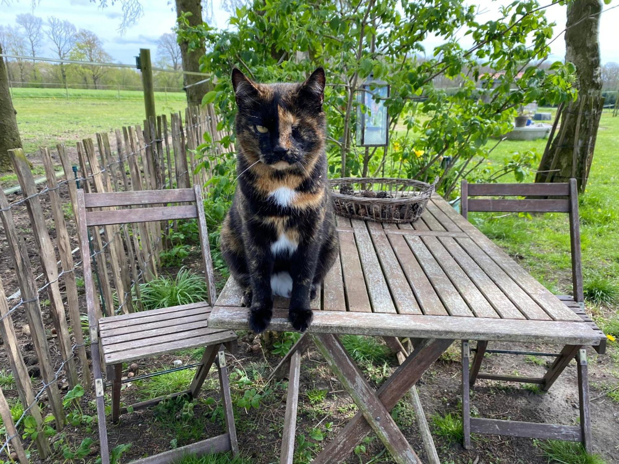 Bed & Breakfast 5 Min From E47 - Dogs Welcome - Cosy Farm Bnb Tureby Eksteriør billede